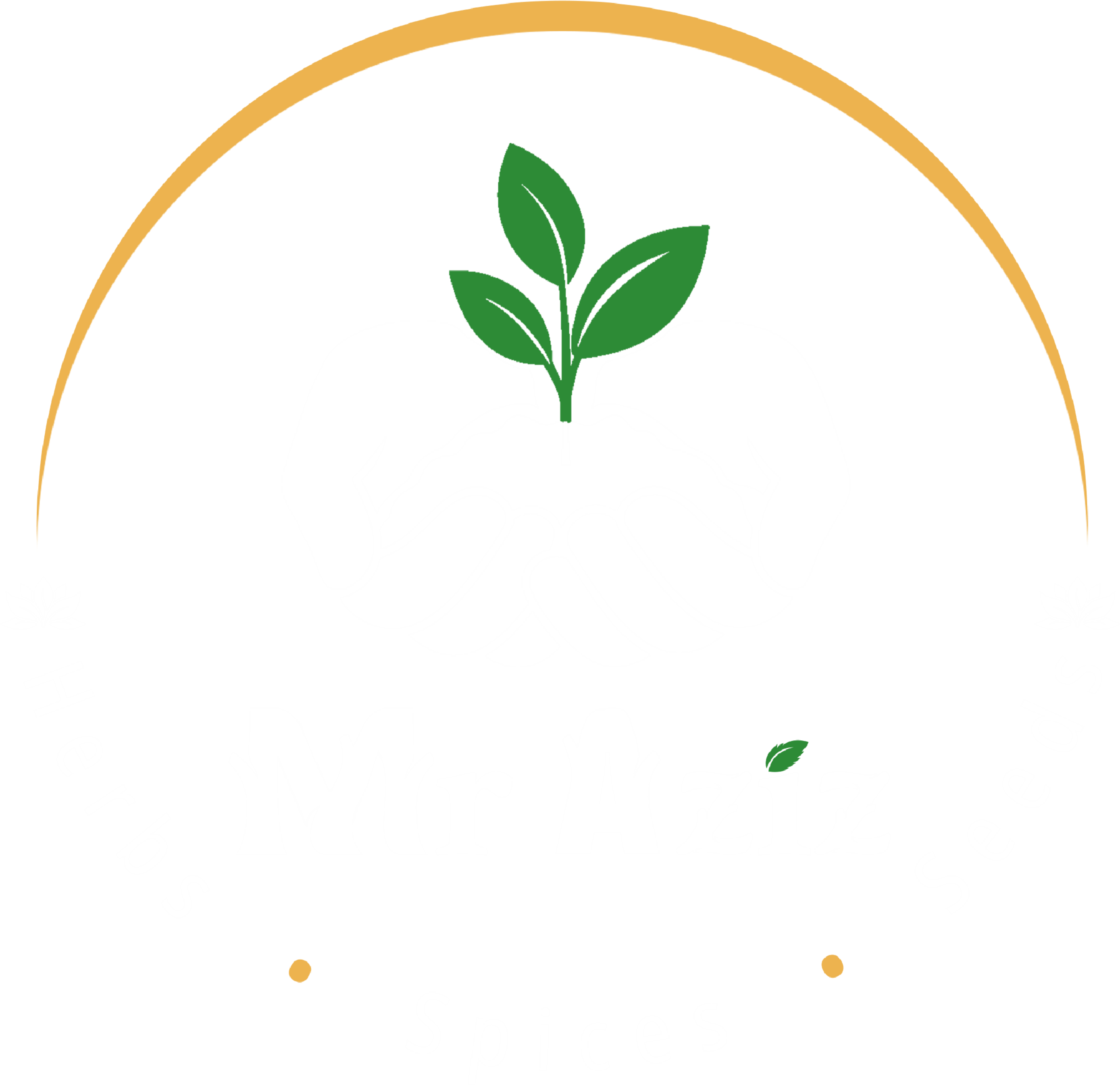 Mr. Aziz Logo