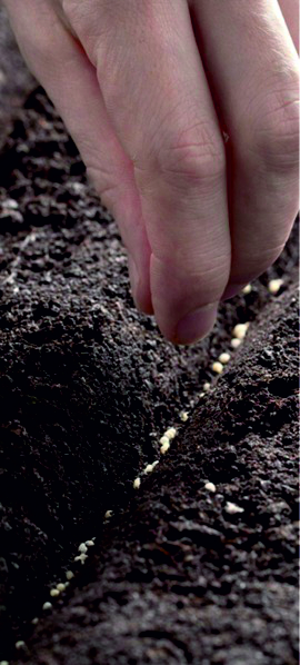 Herkunft & Supply Chain Detail